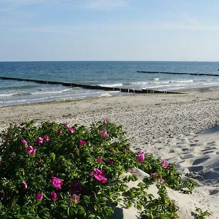 Baltic Sea Börgerende-Rethwisch