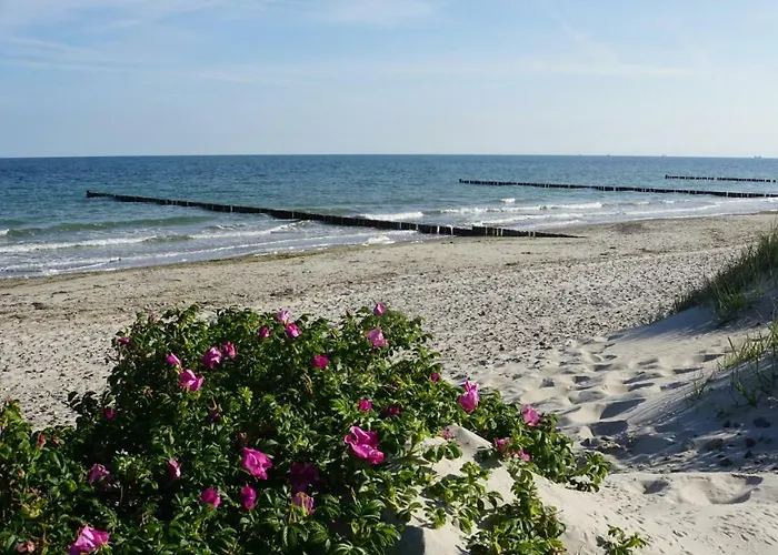 Baltic Sea Börgerende-Rethwisch